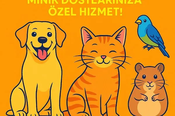 çınar petshop küçükçekmece - Resim 7