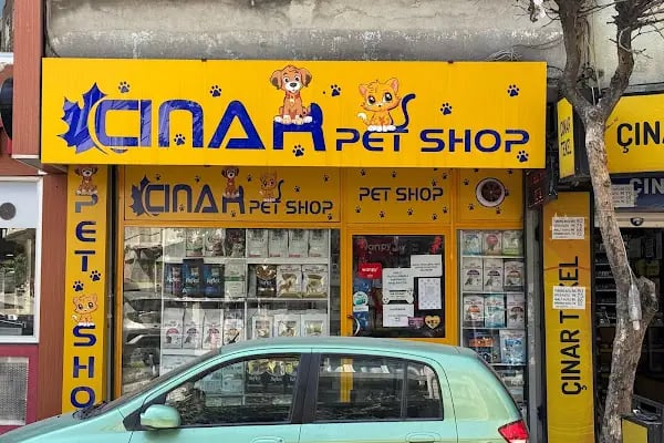 çınar petshop küçükçekmece - Resim 14