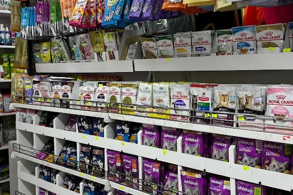 çınar petshop küçükçekmece - Resim 3