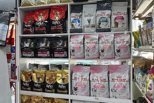 çınar petshop küçükçekmece - Resim 11