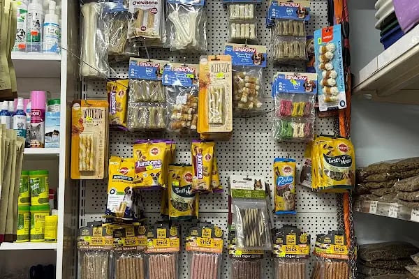 çınar petshop küçükçekmece - Resim 13