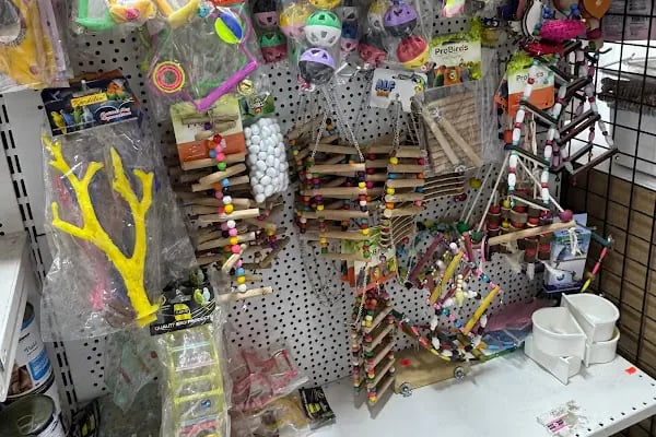 çınar petshop küçükçekmece - Resim 4