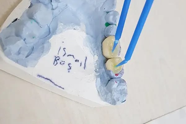 Diş Hekimi Orhan YÜZBAŞ - Resim 14