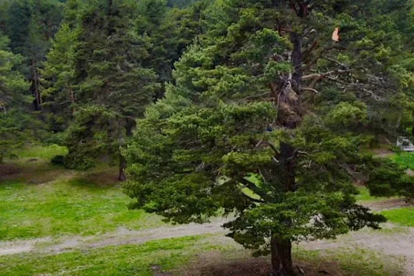 Çamkoru Tabiat Parkı - Resim 12