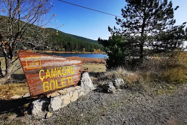 Çamkoru Tabiat Parkı - Resim 19