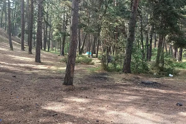 Çamkoru Tabiat Parkı - Resim 4