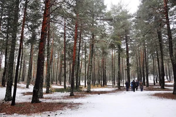 Çamkoru Tabiat Parkı - Resim 16