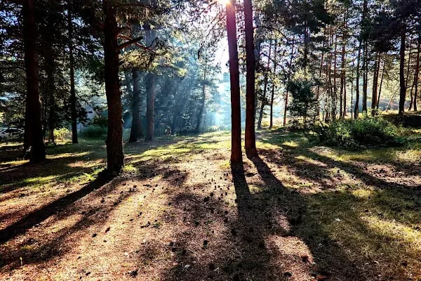 Çamkoru Tabiat Parkı - Resim 9