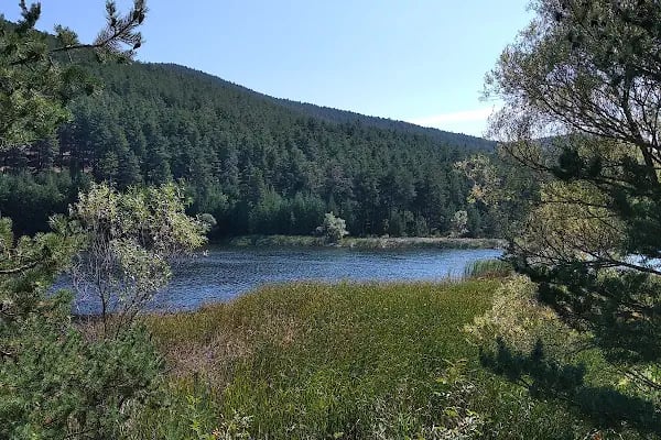 Çamkoru Tabiat Parkı - Resim 15