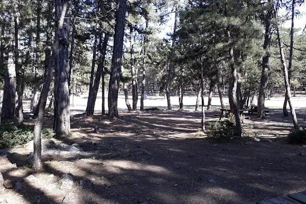 Çamkoru Tabiat Parkı - Resim 5