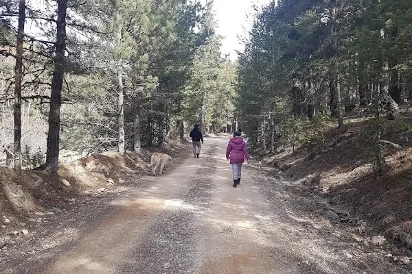 Çamkoru Tabiat Parkı - Resim 18