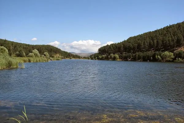 Çamkoru Tabiat Parkı - Resim 2