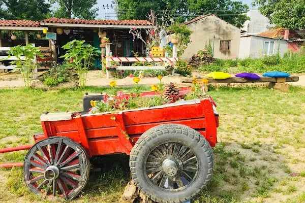 Rüzgarlı Bahçe At Çiftliği - Resim 3