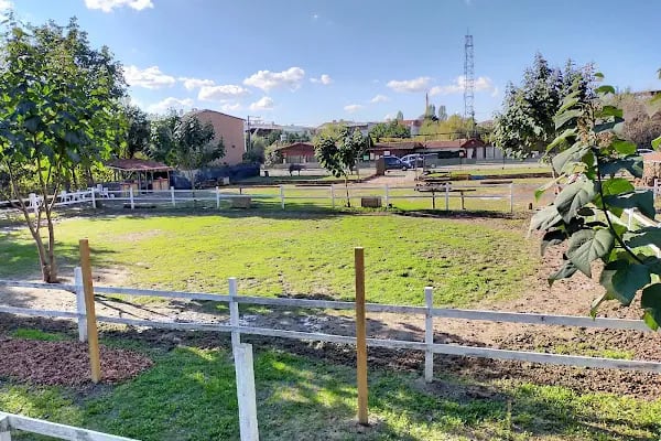 Rüzgarlı Bahçe At Çiftliği - Resim 14
