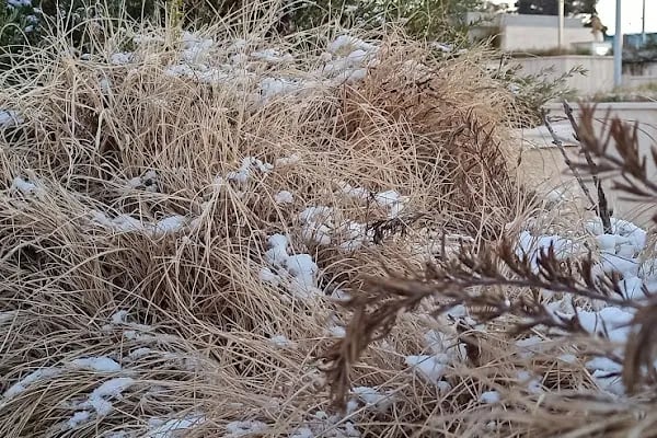 GAZİANTEP BÖLGE ADLİYE Mahkemesi BÖLGE. İdare Mahkemesi - Resim 13
