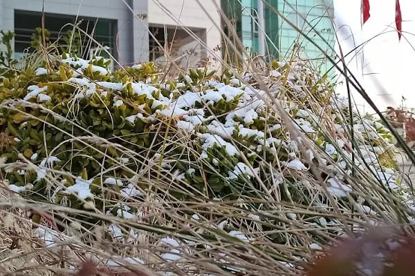 GAZİANTEP BÖLGE ADLİYE Mahkemesi BÖLGE. İdare Mahkemesi - Resim 14