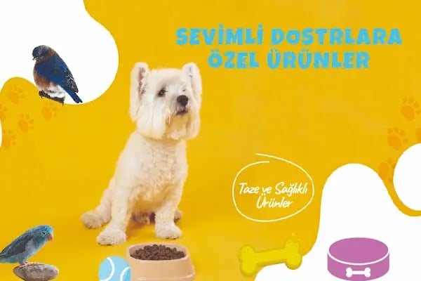 Emsa Petshop - Resim 4