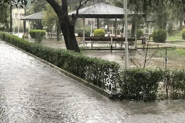 Dokuz Eylül Üniversitesi Buca Eğitim Fakültesi - Resim 13