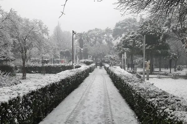 Dokuz Eylül Üniversitesi Buca Eğitim Fakültesi - Resim 2