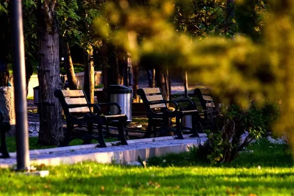 Hisar Parkı - Resim 19