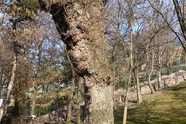 Hisar Parkı - Resim 11