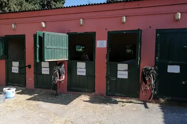 Ankara Atlıspor Kulübü - Resim 9