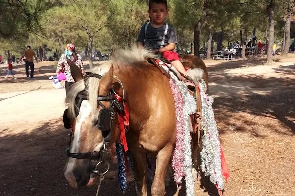 Kocaeli Büyükşehir Belediyesi Kuştepe Mesire Alanı - Resim 2