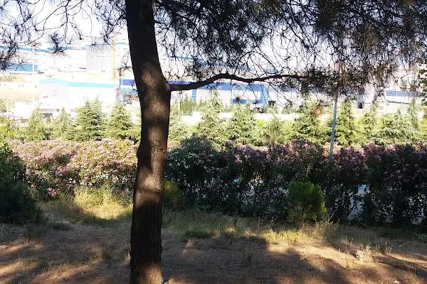 Kocaeli Büyükşehir Belediyesi Kuştepe Mesire Alanı - Resim 5