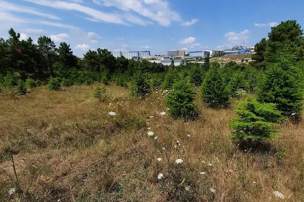 Kocaeli Büyükşehir Belediyesi Kuştepe Mesire Alanı - Resim 16