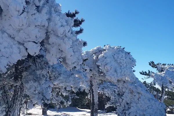 Manisa Seyir Terası - Resim 8