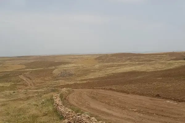 Has Diyarbakır - Resim 6