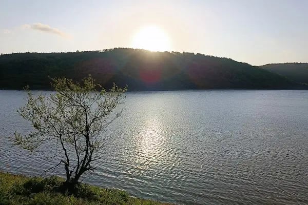 Şamlar Orman Parkı - Resim 15