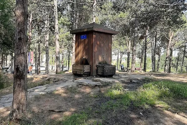 Şamlar Orman Parkı - Resim 2