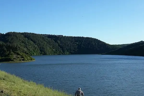 Şamlar Orman Parkı - Resim 3