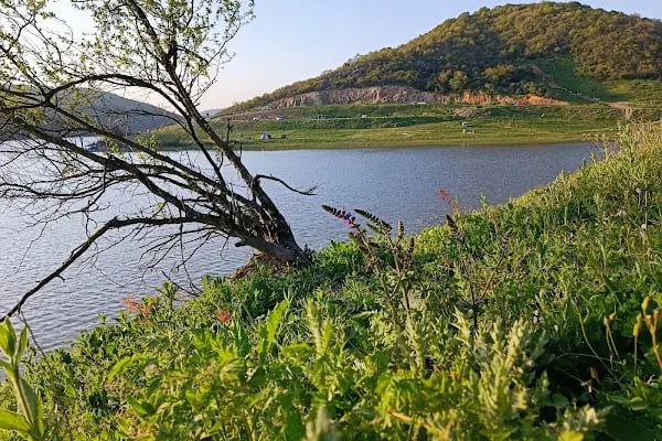 Şamlar Orman Parkı - Resim 6