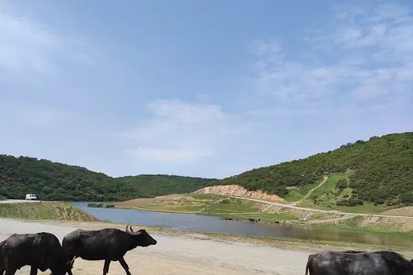 Şamlar Orman Parkı - Resim 20