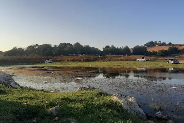 Şamlar Orman Parkı - Resim 16