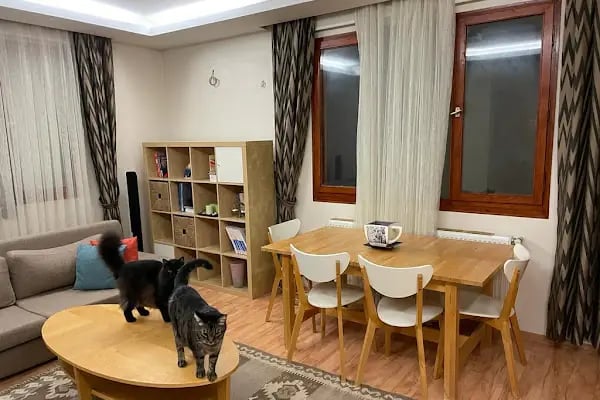 İzmir spotçu, spotçu Erdal, ikinci el eşya alım satım - Resim 3