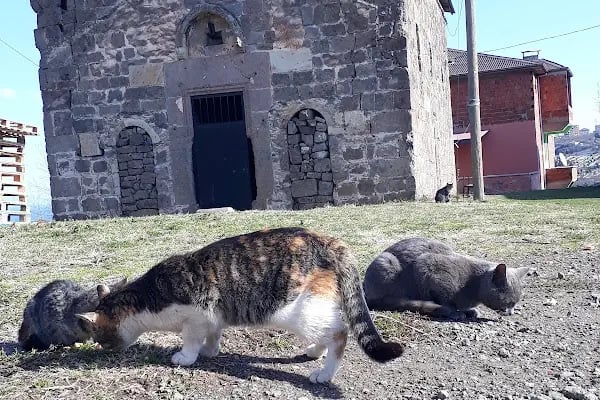 Kaymaklı Manastırı - Resim 15