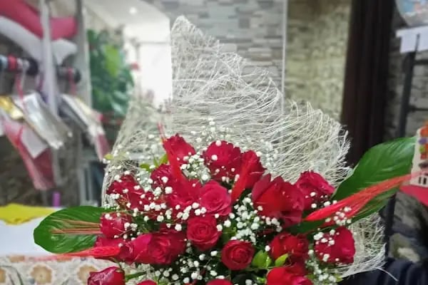 Begonvil çiçekçilik Erzurum çiçekçi - Resim 20