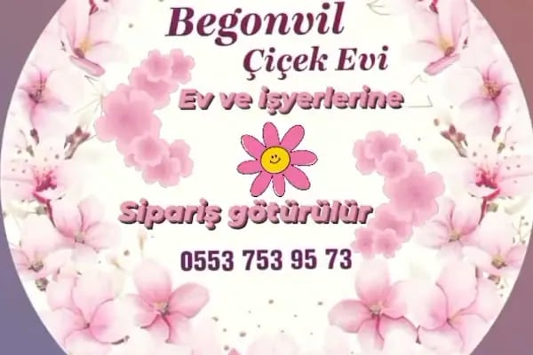 Begonvil çiçekçilik Erzurum çiçekçi - Resim 3