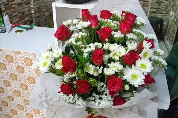 Begonvil çiçekçilik Erzurum çiçekçi - Resim 9