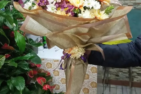 Begonvil çiçekçilik Erzurum çiçekçi - Resim 13