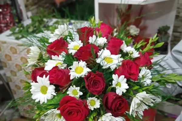 Begonvil çiçekçilik Erzurum çiçekçi - Resim 16