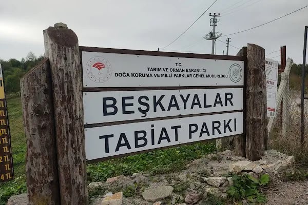 Aytepe - Resim 20