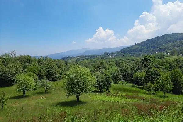 Aytepe - Resim 16