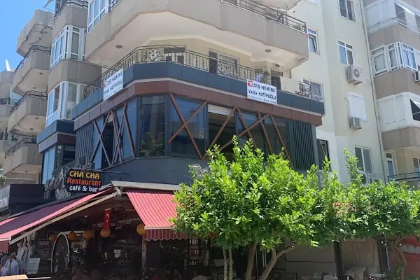 Dt. Vaida Hatipoğlu - Resim 4