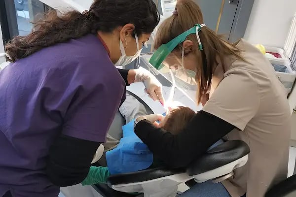 Dt. Vaida Hatipoğlu - Resim 8