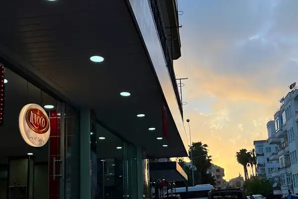 Luvoco Cafe Alanya - Kahvenin Evrimi - Resim 3