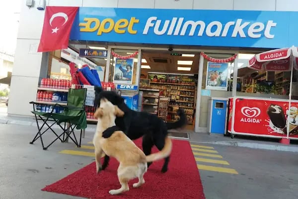 Opet Alternatif Petrol - Resim 3